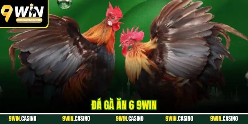 Đá Gà Ăn 6 9WIN - Trải Nghiệm Cá Cược Nhận Thưởng Cực Đã