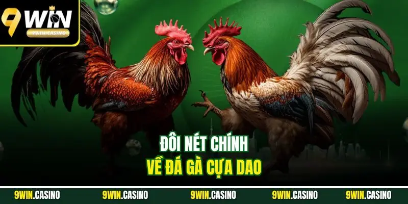 Đá Gà Cựa Dao - Mãn Nhãn Với Các Trận Thư Hùng 2025 1 Đôi nét chính về đá gà cựa dao