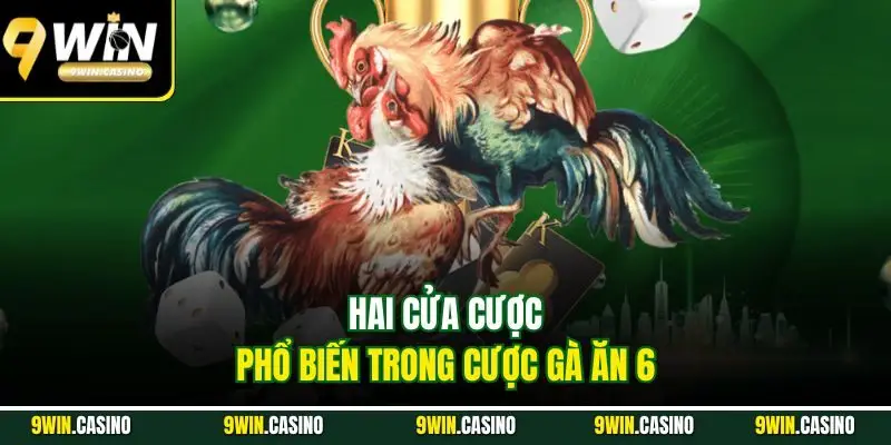 Đá Gà Ăn 6 9WIN - Trải Nghiệm Cá Cược Nhận Thưởng Cực Đã 3 Hai cửa cược phổ biến trong cược gà ăn 6