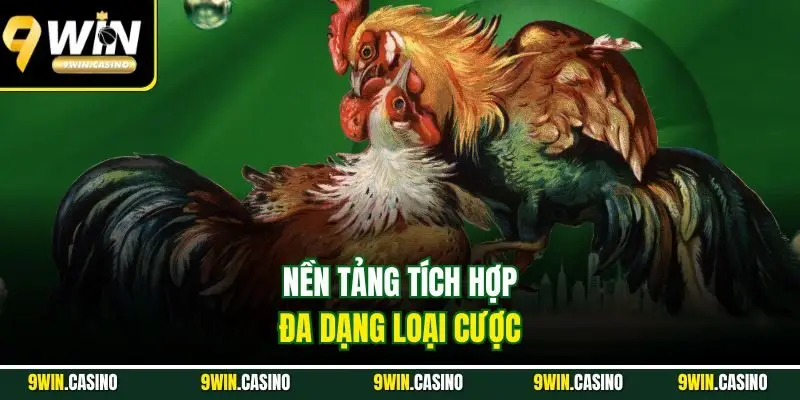 Đá Gà Cựa Dao - Mãn Nhãn Với Các Trận Thư Hùng 2025 3 Nền tảng tích hợp đa dạng loại cược