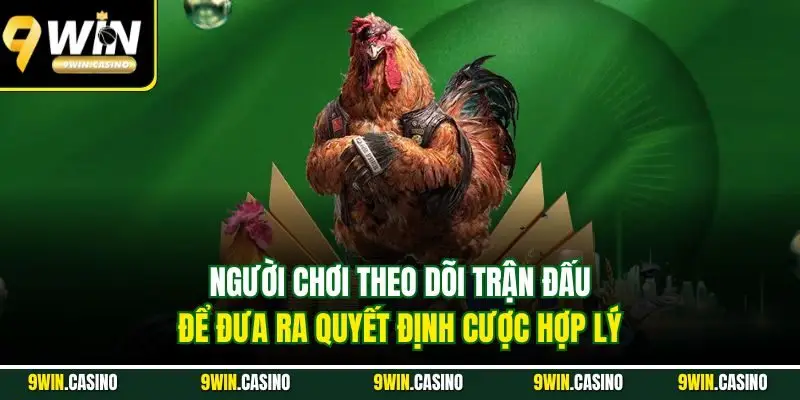 Đá Gà Thomo - Sân Chơi Của Những Chiến Kê Chất Lượng 2 Người chơi theo dõi trận đấu để đưa ra quyết định cược hợp lý