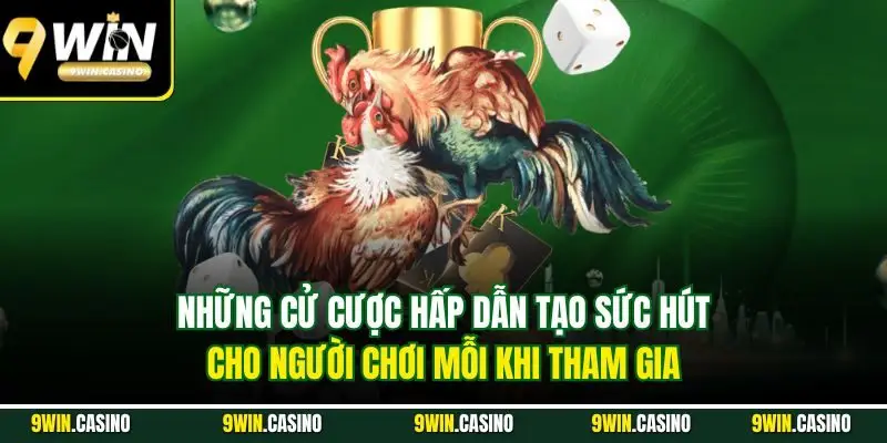 Đá Gà Thomo - Sân Chơi Của Những Chiến Kê Chất Lượng 3 Những cử cược hấp dẫn tạo sức hút cho người chơi mỗi khi tham gia