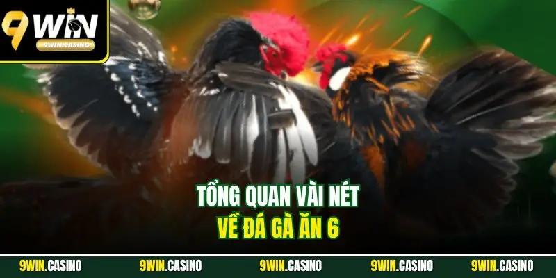 Đá Gà Ăn 6 9WIN - Trải Nghiệm Cá Cược Nhận Thưởng Cực Đã 1 Tổng quan vài nét về đá gà ăn 6