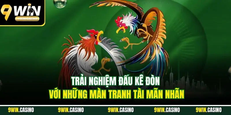 Đá Gà 9win – Trải Nghiệm Trận Đấu Độc Đáo, Kịch Tính 2025 5 Trải nghiệm đấu kê đòn với những màn tranh tài mãn nhãn