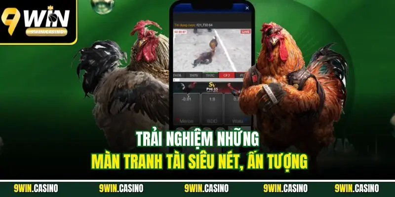 Đá Gà 9win – Trải Nghiệm Trận Đấu Độc Đáo, Kịch Tính 2025 6 Trải nghiệm những màn tranh tài siêu nét, ấn tượng