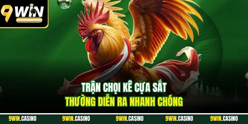 Đá Gà Cựa Dao - Mãn Nhãn Với Các Trận Thư Hùng 2025 2 Trận chọi kê cựa sắt thường diễn ra nhanh chóng